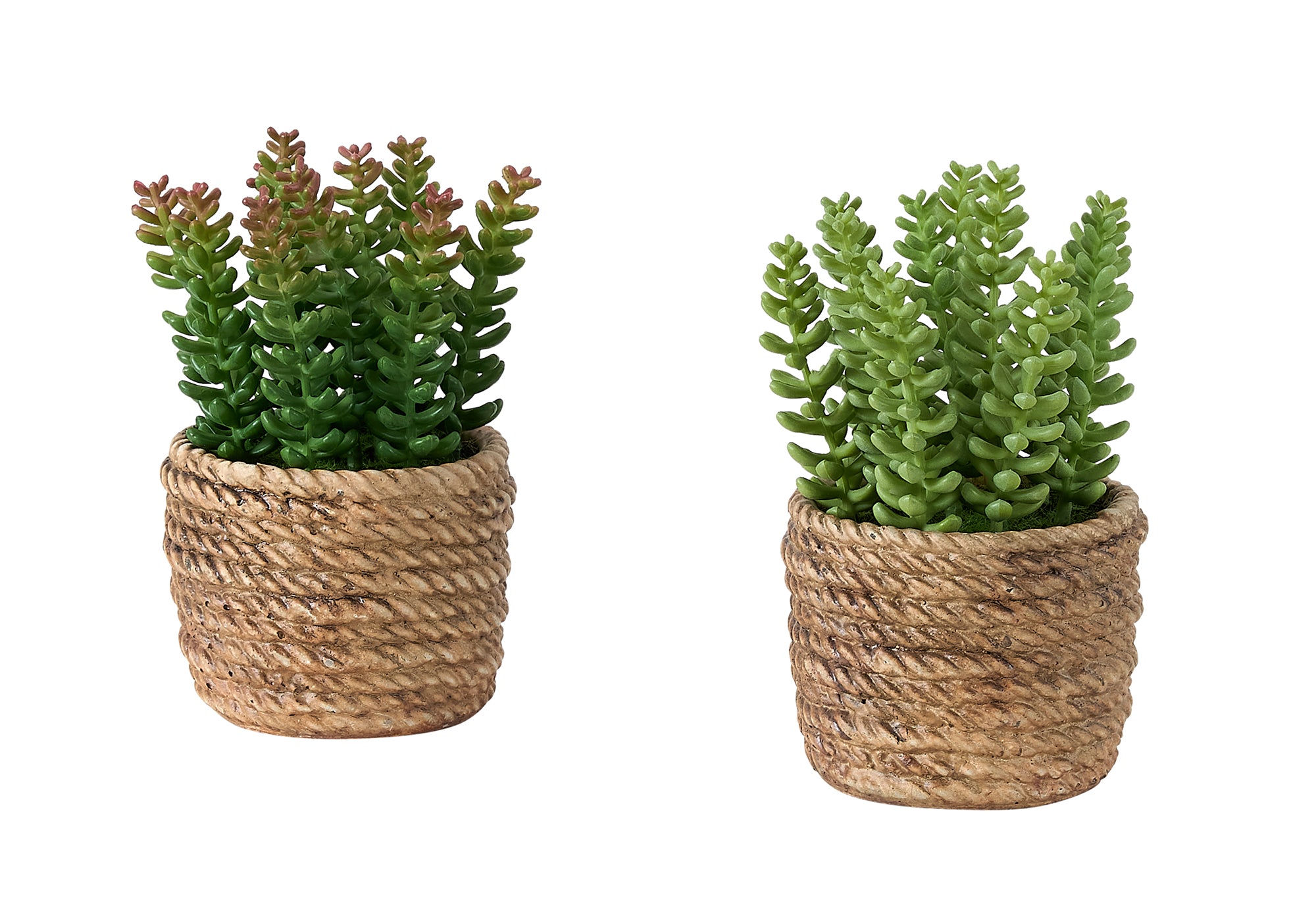 I 9367 - Plante Artificielle, Ensemble De 2, 7'' De Haut, Succulent, Table, Pots En Ciment Brun, Contemporain, Moderne - Simple Boutique