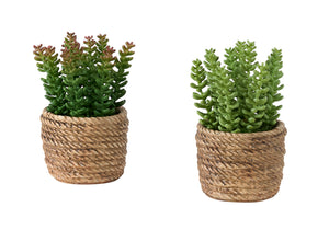 I 9367 - Plante Artificielle, Ensemble De 2, 7'' De Haut, Succulent, Table, Pots En Ciment Brun, Contemporain, Moderne - Simple Boutique