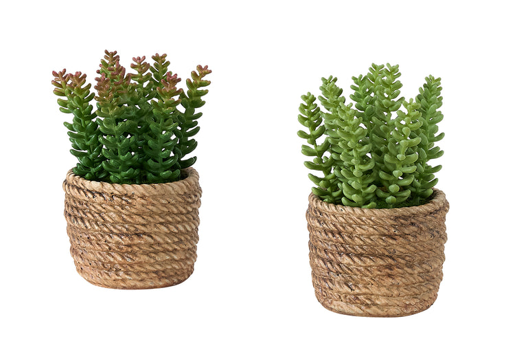 I 9367 - Plante Artificielle, Ensemble De 2, 7'' De Haut, Succulent, Table, Pots En Ciment Brun, Contemporain, Moderne - Simple Boutique