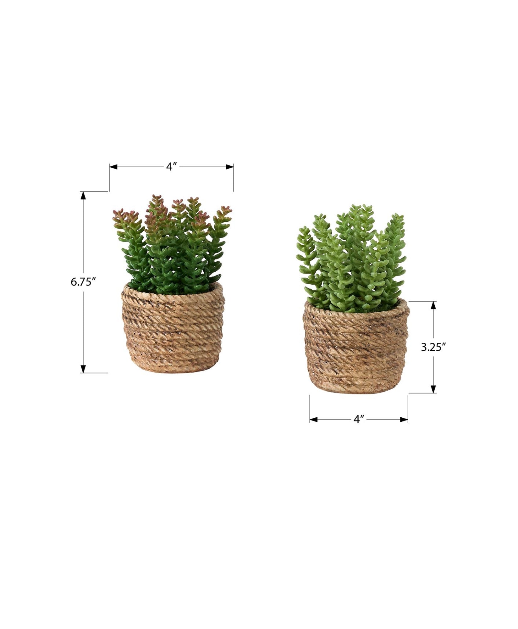 I 9367 - Plante Artificielle, Ensemble De 2, 7'' De Haut, Succulent, Table, Pots En Ciment Brun, Contemporain, Moderne - Simple Boutique