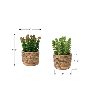 I 9367 - Plante Artificielle, Ensemble De 2, 7'' De Haut, Succulent, Table, Pots En Ciment Brun, Contemporain, Moderne - Simple Boutique