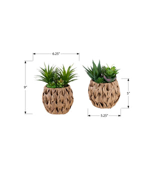 I 9369 - Plante Artificielle, Ensemble De 2, 9'' De Haut, Succulent, Table, Panier Tissé Marron, Contemporain, Moderne - Simple Boutique