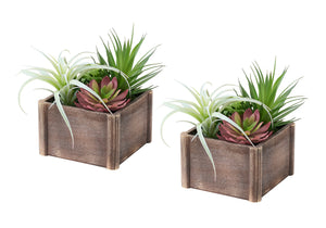 I 9371 - Plante Artificielle, Ensemble De 2, 10'' De Haut, Succulent, Table, Pots En Bois Brun, Contemporain, Moderne - Simple Boutique