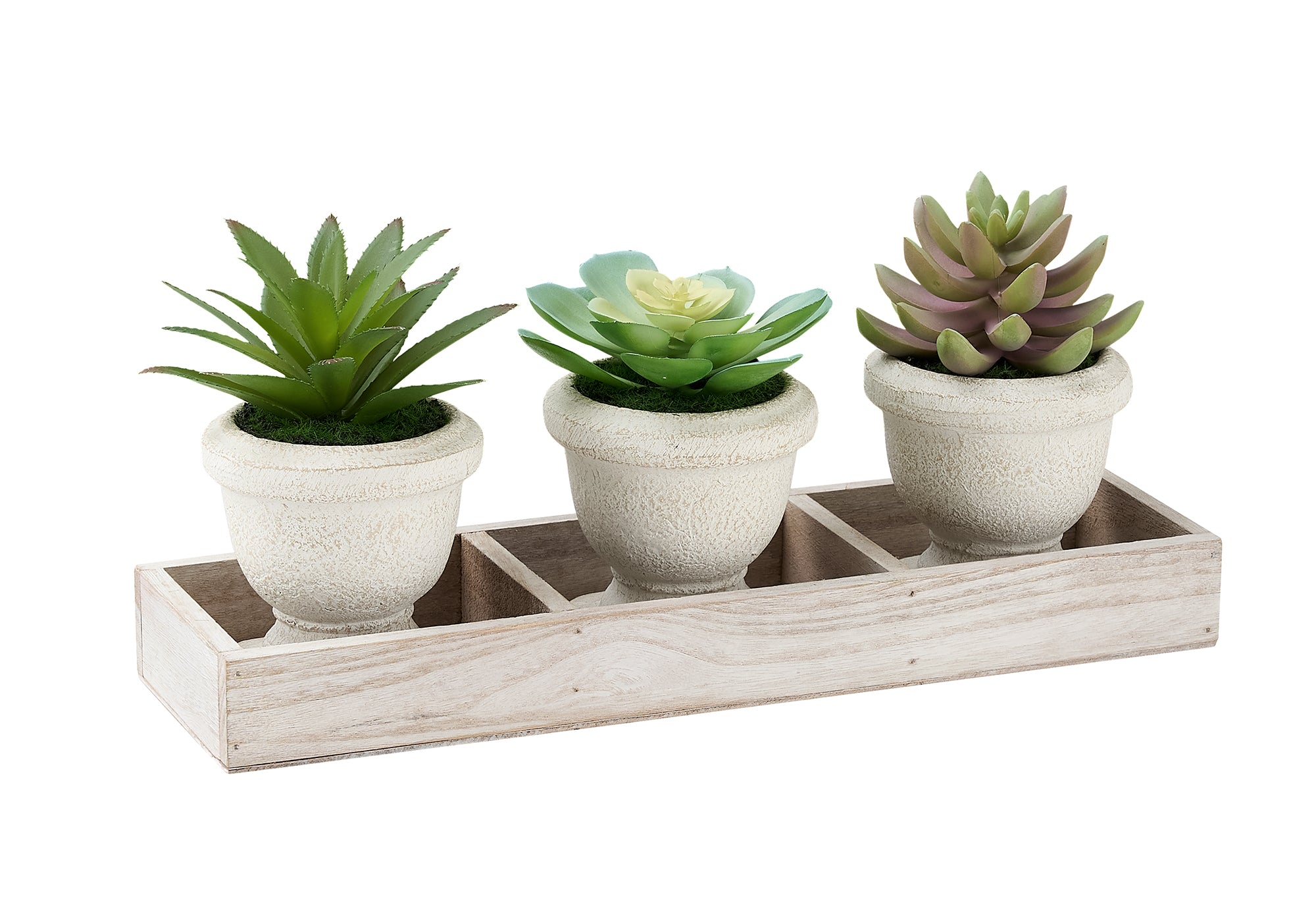 I 9373 - Plante Artificielle, Ensemble De 3, 6'' De Haut, Succulent, Table, Pots Beiges, Contemporain, Moderne - Simple Boutique