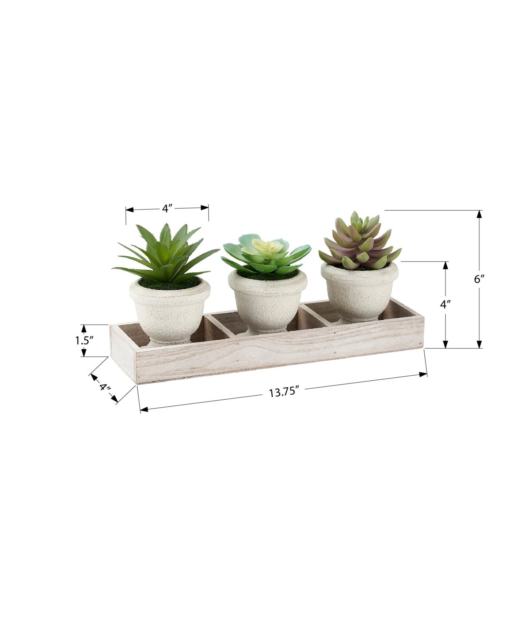 I 9373 - Plante Artificielle, Ensemble De 3, 6'' De Haut, Succulent, Table, Pots Beiges, Contemporain, Moderne - Simple Boutique