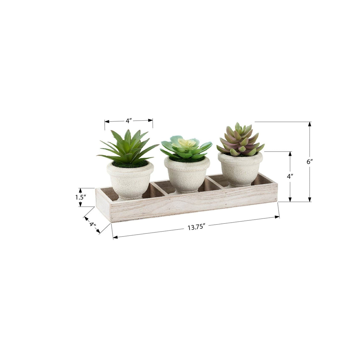 Monarch Specialties I 9373 - Plante Artificielle, Ensemble De 3, 6'' De Haut, Succulent, Table, Pots Beiges, Contemporain, Moderne - Simple Boutique