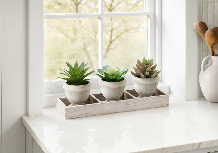 I 9373 - Plante Artificielle, Ensemble De 3, 6'' De Haut, Succulent, Table, Pots Beiges, Contemporain, Moderne - Simple Boutique
