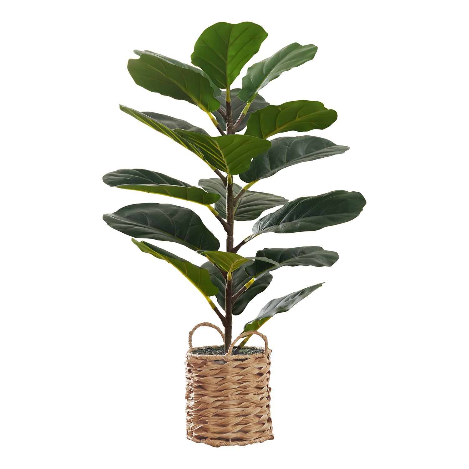 I 9505 - Plante Artificielle, 28" De Haut, Arbre À Violons, Intérieur, Faux, Faux, Étage, Verdure, Mis En Pot, Vraie Touche, Décoratif, Feuilles Vertes, Panier Tissé Beige - Simple Boutique