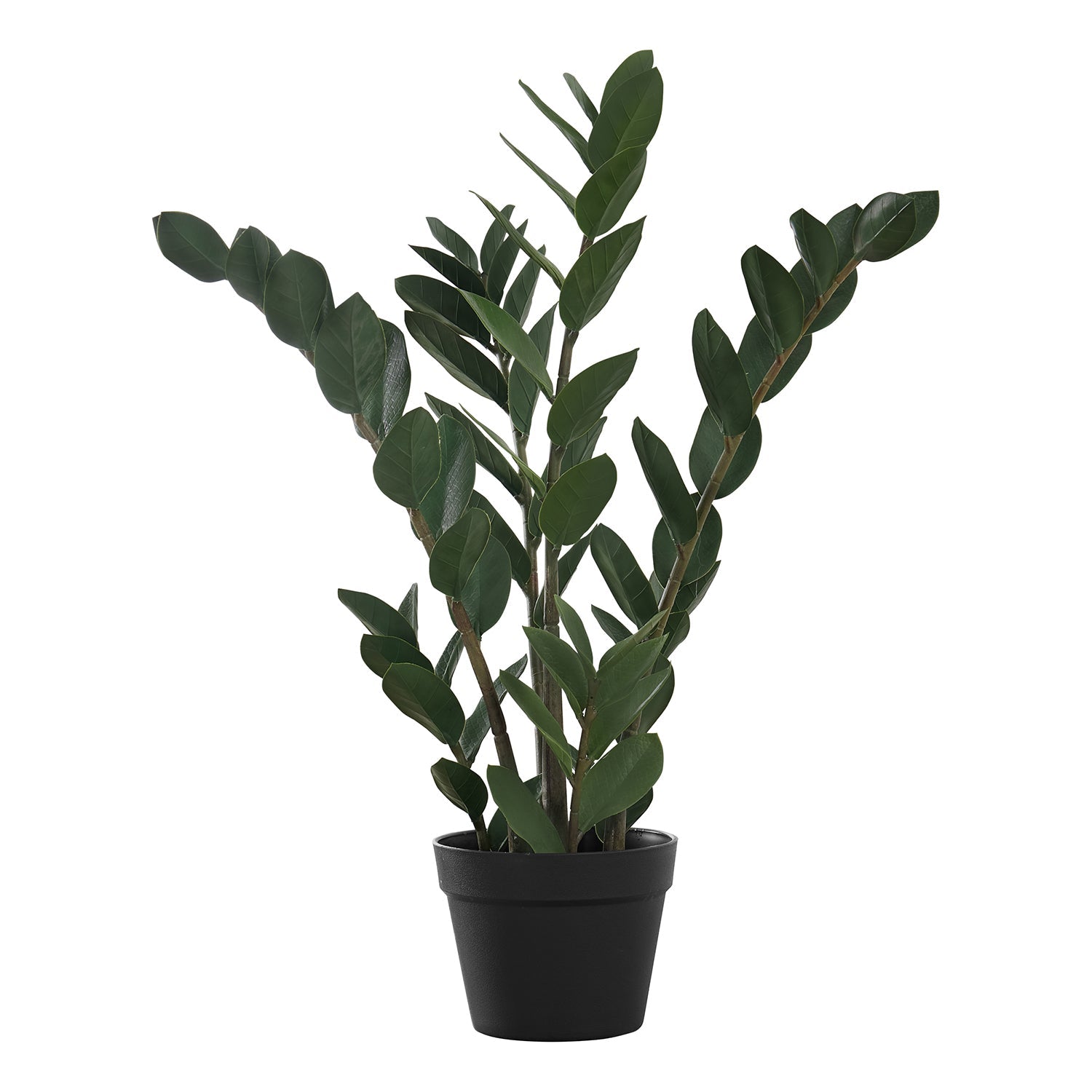 I 9506 - Plante Artificielle, 29" De Haut, Arbre Zz, Intérieur, Faux, Faux, Étage, Verdure, Mis En Pot, Vraie Touche, Décoratif, Feuilles Vertes, Pot Noir - Simple Boutique