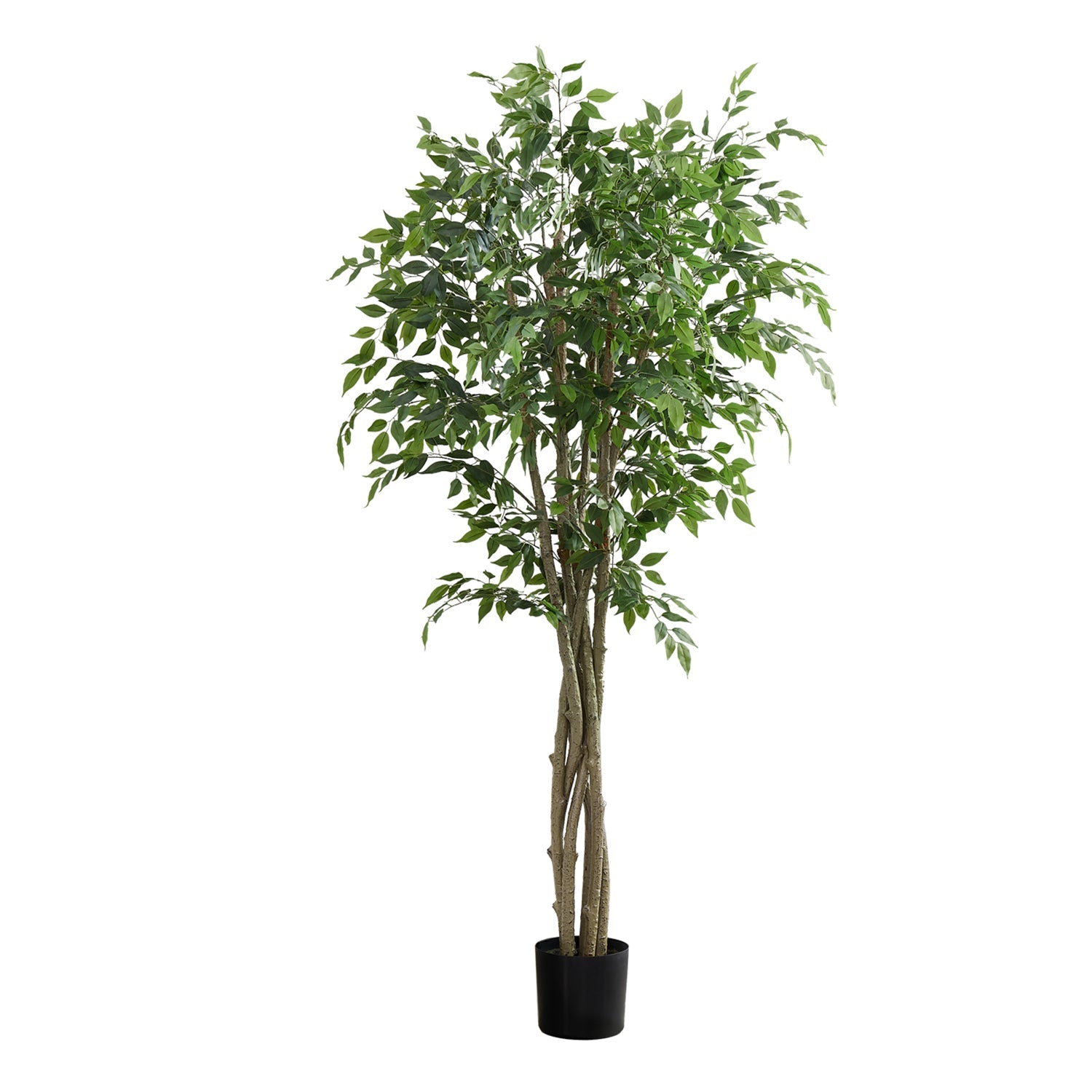 I 9549 - Plante Artificielle, 79" De Hauteur, Arbre Ficus, Plancher, Touche Réelle, Mis En Pot, Feuilles Vertes, Pot Noir - Simple Boutique