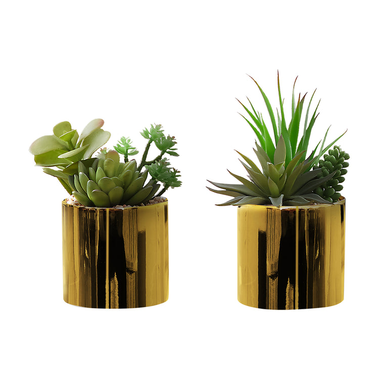 I 9553 - Plante Artificielle, 7" De Haut, Succulent, Intérieur, Faux, Faux, Table, Verdure, Mis En Pot, Ensemble De 2, Décoratif, Plantes Vertes, Pots Dorés Brillants - Simple Boutique