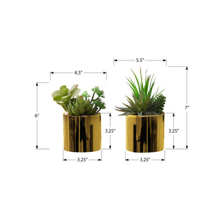 I 9553 - Plante Artificielle, 7" De Haut, Succulent, Intérieur, Faux, Faux, Table, Verdure, Mis En Pot, Ensemble De 2, Décoratif, Plantes Vertes, Pots Dorés Brillants - Simple Boutique