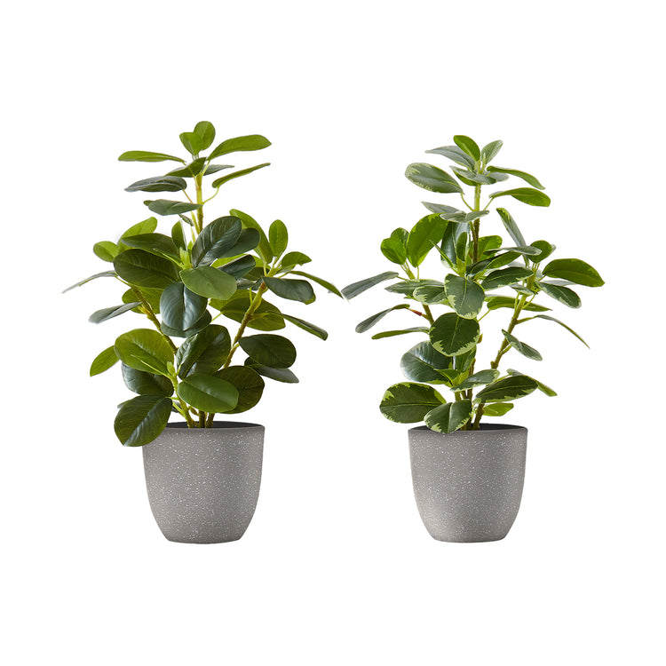 I 9558 - Plante Artificielle, 14" De Haut, Ficus, Intérieur, Faux, Faux, Table, Verdure, Mis En Pot, Ensemble De 2, Décoratif, Feuilles Vertes, Pots Gris - Simple Boutique