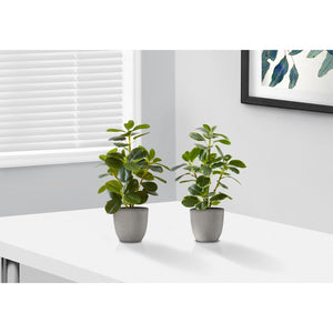 I 9558 - Plante Artificielle, 14" De Haut, Ficus, Intérieur, Faux, Faux, Table, Verdure, Mis En Pot, Ensemble De 2, Décoratif, Feuilles Vertes, Pots Gris - Simple Boutique