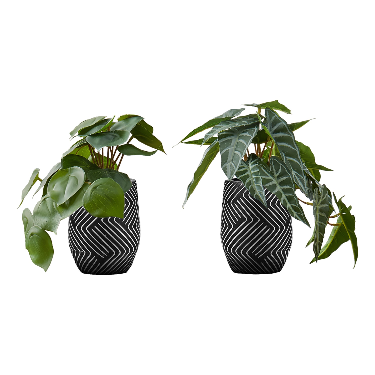 I 9559 - Plante Artificielle, 8" De Haut, Alocasie, Intérieur, Faux, Faux, Table, Verdure, Mis En Pot, Ensemble De 2, Décoratif, Feuilles Vertes, Pots En Ciment Noir - Simple Boutique