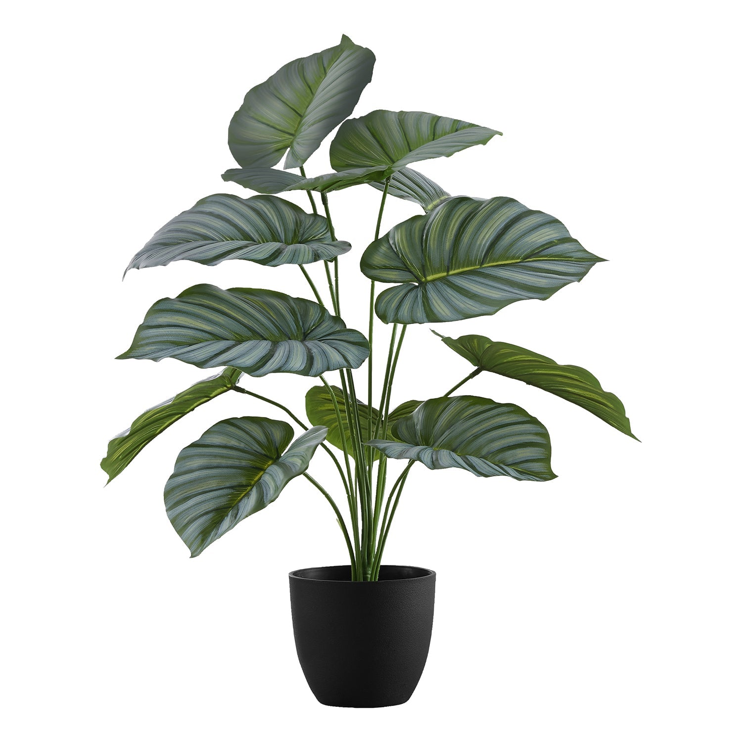 I 9577 - Plante Artificielle, 24" De Haut, Calathée, Intérieur, Faux, Faux, Tableau, Verdure, Mis En Pot, Vraie Touche, Décoratif, Feuilles Vertes, Pot Noir - Simple Boutique