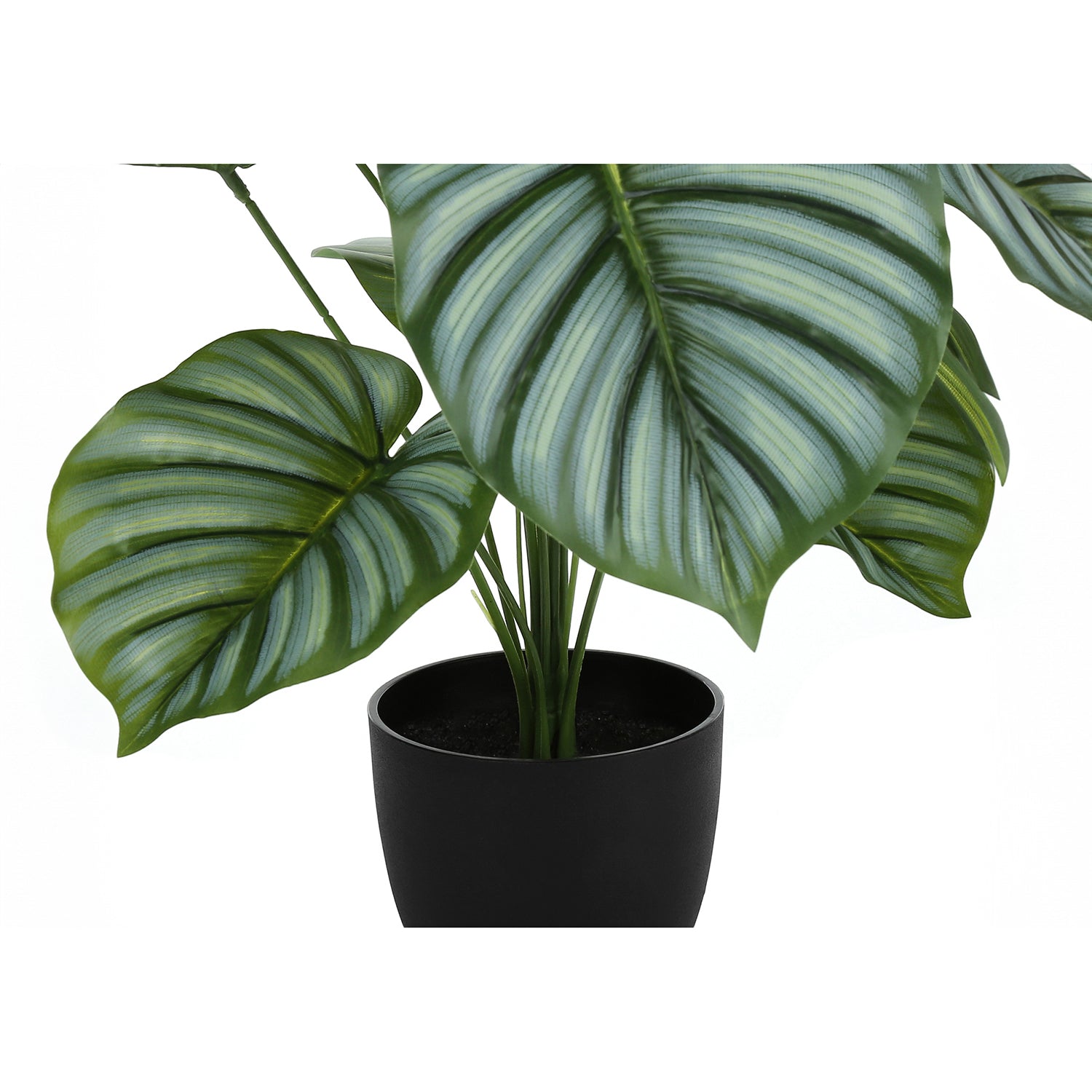 I 9577 - Plante Artificielle, 24" De Haut, Calathée, Intérieur, Faux, Faux, Tableau, Verdure, Mis En Pot, Vraie Touche, Décoratif, Feuilles Vertes, Pot Noir - Simple Boutique