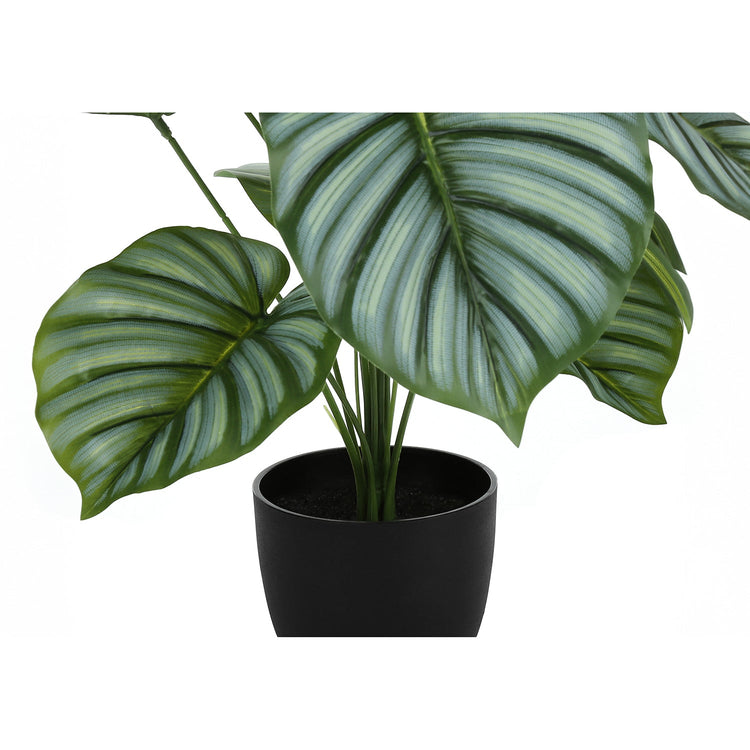 I 9577 - Plante Artificielle, 24" De Haut, Calathée, Intérieur, Faux, Faux, Tableau, Verdure, Mis En Pot, Vraie Touche, Décoratif, Feuilles Vertes, Pot Noir - Simple Boutique