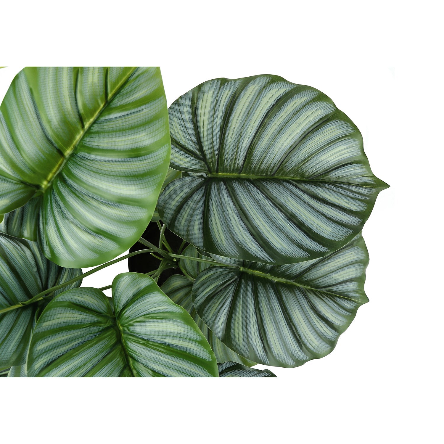 I 9577 - Plante Artificielle, 24" De Haut, Calathée, Intérieur, Faux, Faux, Tableau, Verdure, Mis En Pot, Vraie Touche, Décoratif, Feuilles Vertes, Pot Noir - Simple Boutique
