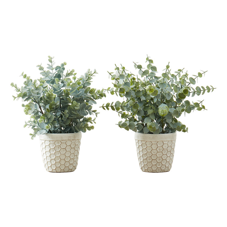 I 9581 - Plante Artificielle, 13" De Haut, Herbe D'eucalyptus, Intérieur, Faux, Faux, Tableau, Verdure, Mis En Pot, Lot De 2, Décoratif, Feuilles Vertes, Pots Blancs - Simple Boutique
