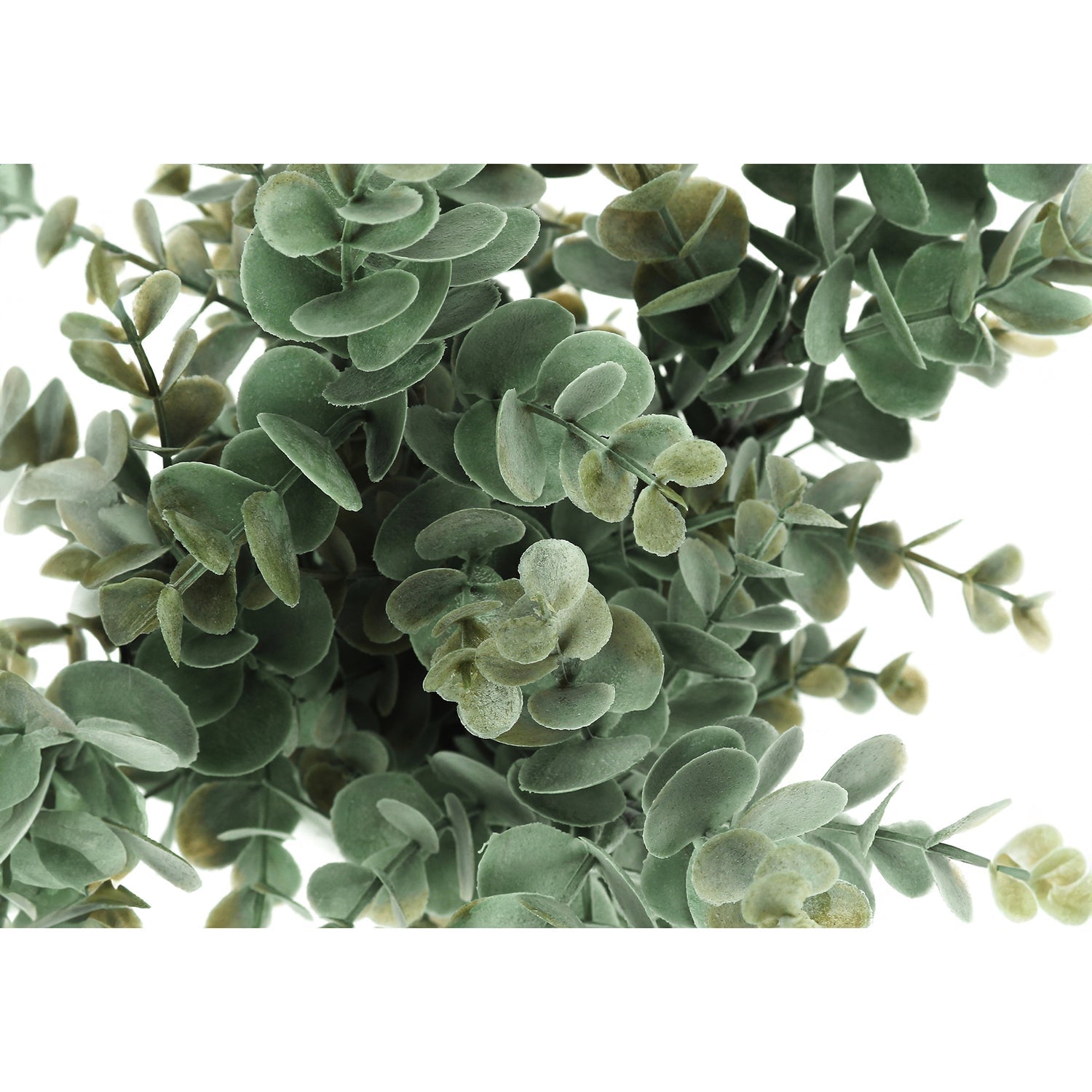 I 9581 - Plante Artificielle, 13" De Haut, Herbe D'eucalyptus, Intérieur, Faux, Faux, Tableau, Verdure, Mis En Pot, Lot De 2, Décoratif, Feuilles Vertes, Pots Blancs - Simple Boutique
