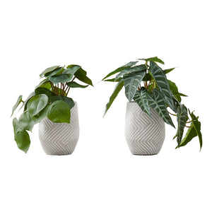 I 9582 - Plante Artificielle, 8" De Haut, Alocasie, Intérieur, Faux, Faux, Tableau, Verdure, Mis En Pot, Lot De 2, Décoratif, Feuilles Vertes, Pots En Ciment Blanc - Simple Boutique