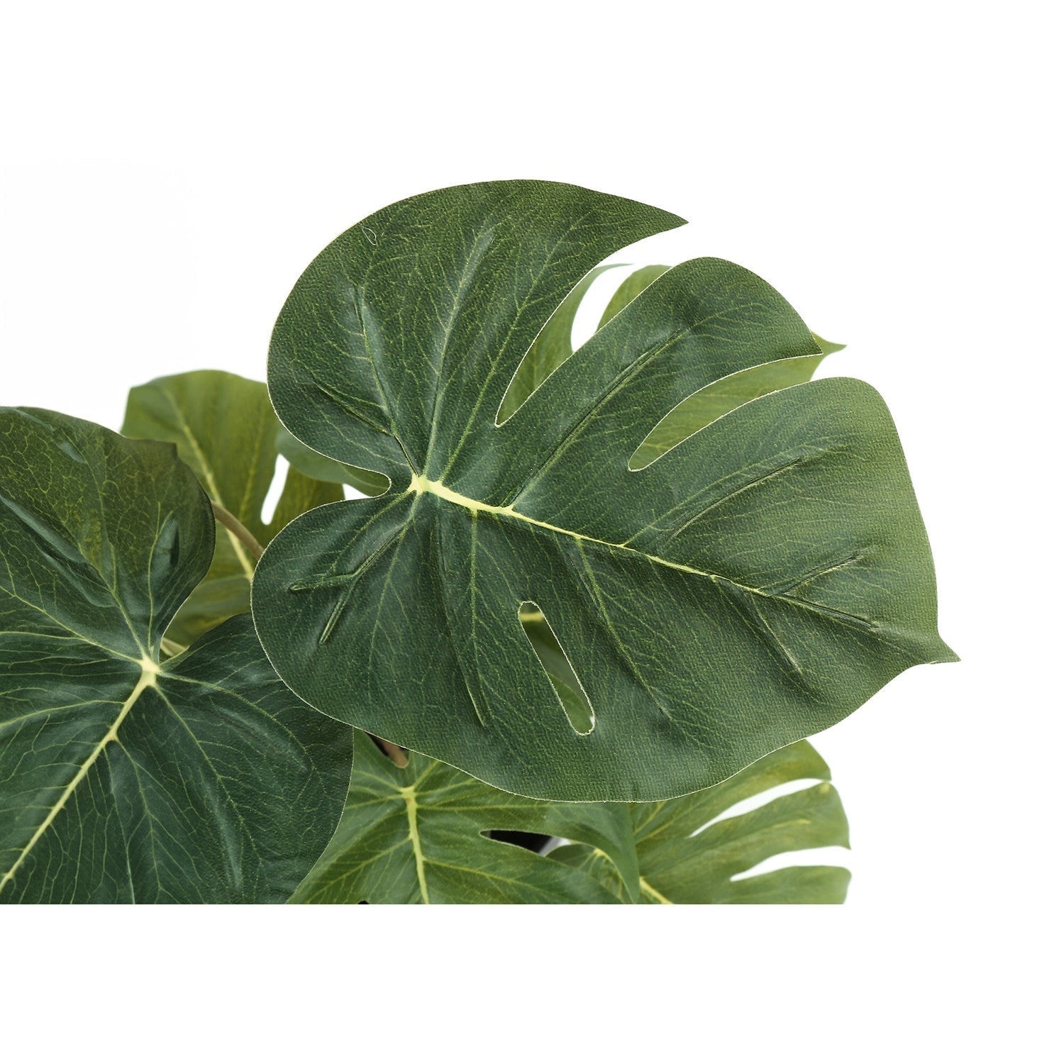 I 9584 - Plante Artificielle, 13" De Haut, Monstera Calathea, Intérieur, Faux, Faux, Tableau, Verdure, Mis En Pot, Lot De 2, Décoratif, Feuilles Vertes, Pots Noirs - Simple Boutique
