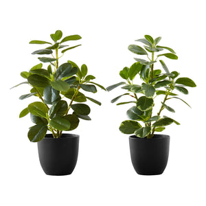 I 9585 - Plante Artificielle, 14" De Haut, Ficus, Intérieur, Faux, Faux, Tableau, Verdure, Mis En Pot, Lot De 2, Décoratif, Feuilles Vertes, Pots Noirs - Simple Boutique