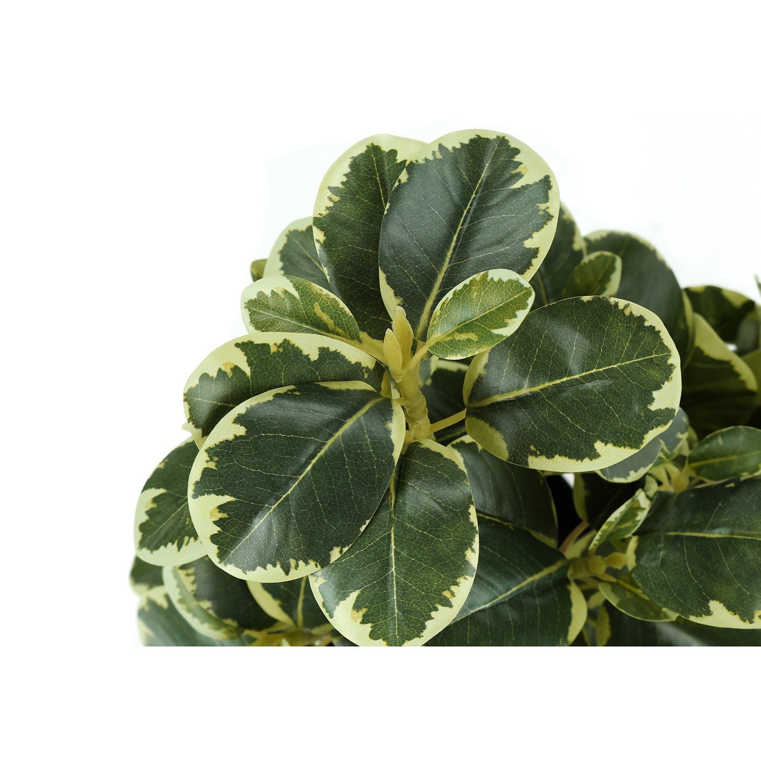 I 9585 - Plante Artificielle, 14" De Haut, Ficus, Intérieur, Faux, Faux, Tableau, Verdure, Mis En Pot, Lot De 2, Décoratif, Feuilles Vertes, Pots Noirs - Simple Boutique