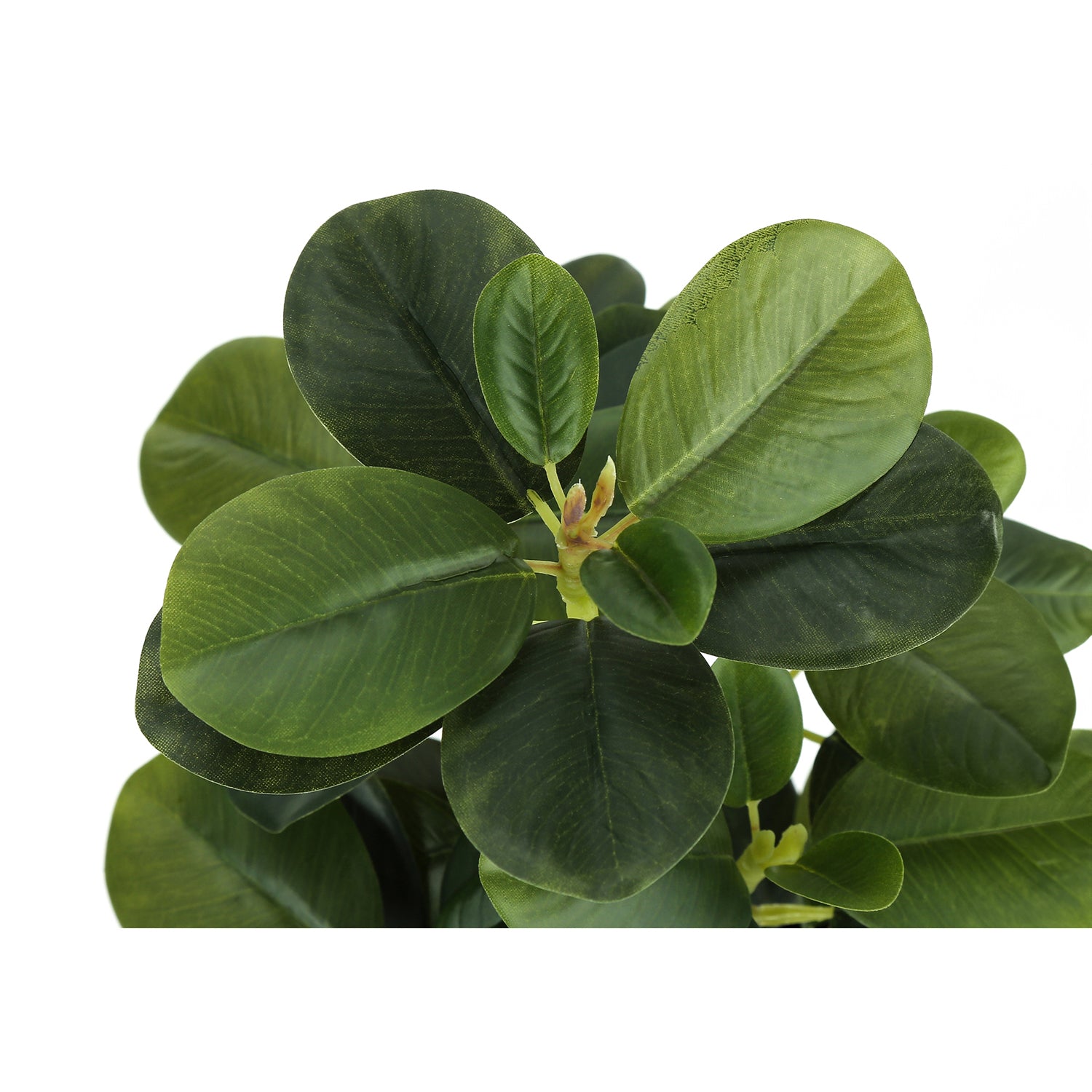 I 9585 - Plante Artificielle, 14" De Haut, Ficus, Intérieur, Faux, Faux, Tableau, Verdure, Mis En Pot, Lot De 2, Décoratif, Feuilles Vertes, Pots Noirs - Simple Boutique