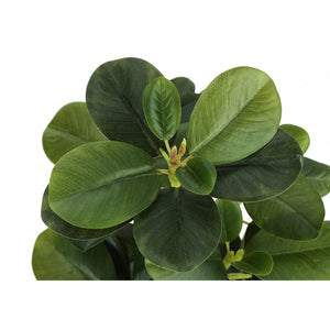 I 9585 - Plante Artificielle, 14" De Haut, Ficus, Intérieur, Faux, Faux, Tableau, Verdure, Mis En Pot, Lot De 2, Décoratif, Feuilles Vertes, Pots Noirs - Simple Boutique