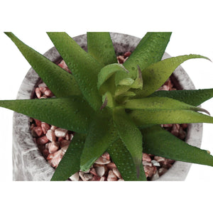 I 9586 - Plante Artificielle, 6" De Haut, Succulent, Intérieur, Faux, Faux, Tableau, Verdure, Mis En Pot, Lot De 2, Décoratif, Feuilles Vertes, Poterie De Ciment Gris - Simple Boutique