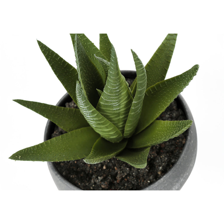 I 9587 - Plante Artificielle, 6" De Haut, Succulent, Intérieur, Faux, Faux, Tableau, Verdure, Mis En Pot, Lot De 3, Décoratif, Plantes Vertes, Poterie De Ciment Gris - Simple Boutique