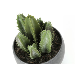 I 9587 - Plante Artificielle, 6" De Haut, Succulent, Intérieur, Faux, Faux, Tableau, Verdure, Mis En Pot, Lot De 3, Décoratif, Plantes Vertes, Poterie De Ciment Gris - Simple Boutique