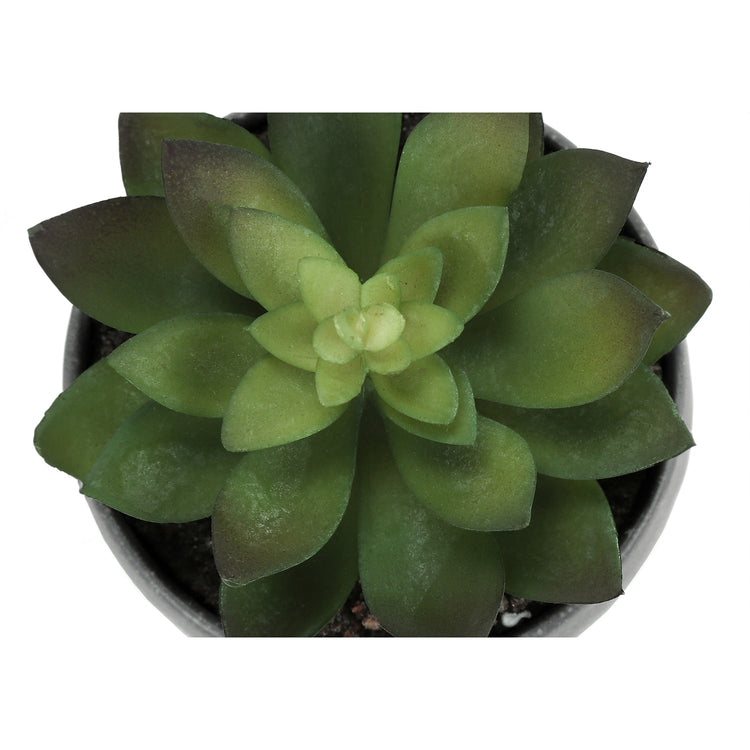 I 9587 - Plante Artificielle, 6" De Haut, Succulent, Intérieur, Faux, Faux, Tableau, Verdure, Mis En Pot, Lot De 3, Décoratif, Plantes Vertes, Poterie De Ciment Gris - Simple Boutique