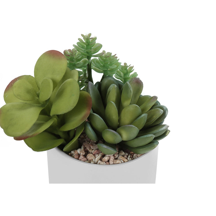 I 9588 - Plante Artificielle, 7" De Haut, Succulent, Intérieur, Faux, Faux, Tableau, Verdure, Mis En Pot, Lot De 2, Décoratif, Plantes Vertes, Pots Céramiques Blancs - Simple Boutique
