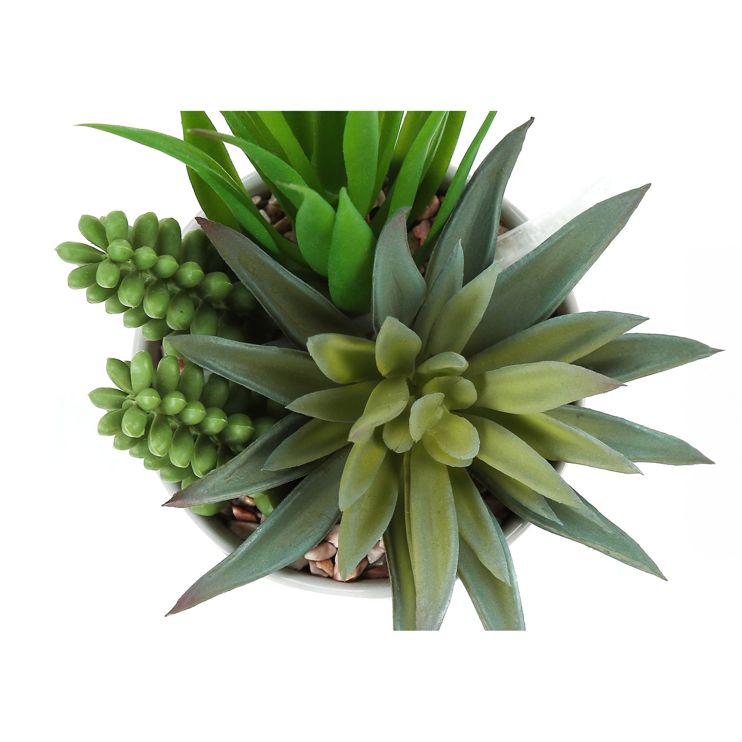 I 9588 - Plante Artificielle, 7" De Haut, Succulent, Intérieur, Faux, Faux, Tableau, Verdure, Mis En Pot, Lot De 2, Décoratif, Plantes Vertes, Pots Céramiques Blancs - Simple Boutique
