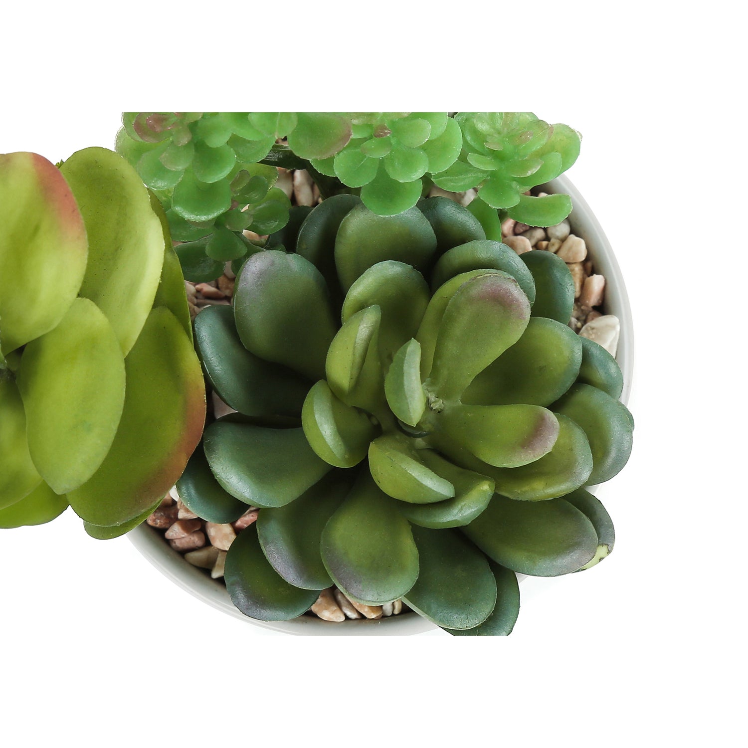 I 9588 - Plante Artificielle, 7" De Haut, Succulent, Intérieur, Faux, Faux, Tableau, Verdure, Mis En Pot, Lot De 2, Décoratif, Plantes Vertes, Pots Céramiques Blancs - Simple Boutique