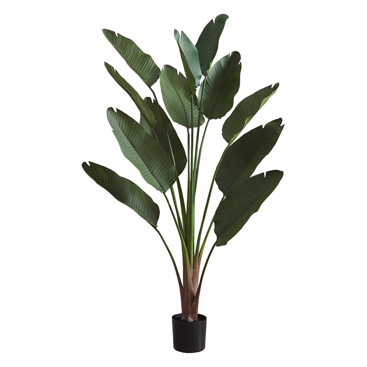I 9591 - Plante Artificielle, 83" De Hauteur, Intérieur, Décoratif, Plancher, Palmier, Touche Réelle, Feuilles Vertes, Pot Noir - Simple Boutique
