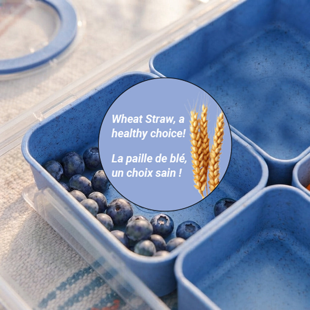 JS Gourmet Boîte à goûter à 8 compartiments avec poignée — bleu paille de blé - Simple Boutique