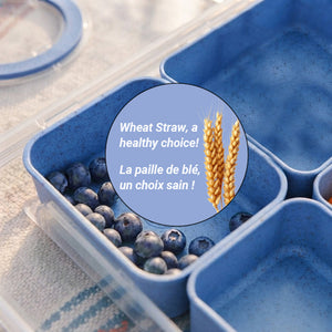 JS Gourmet Boîte à goûter à 8 compartiments avec poignée — bleu paille de blé - Simple Boutique