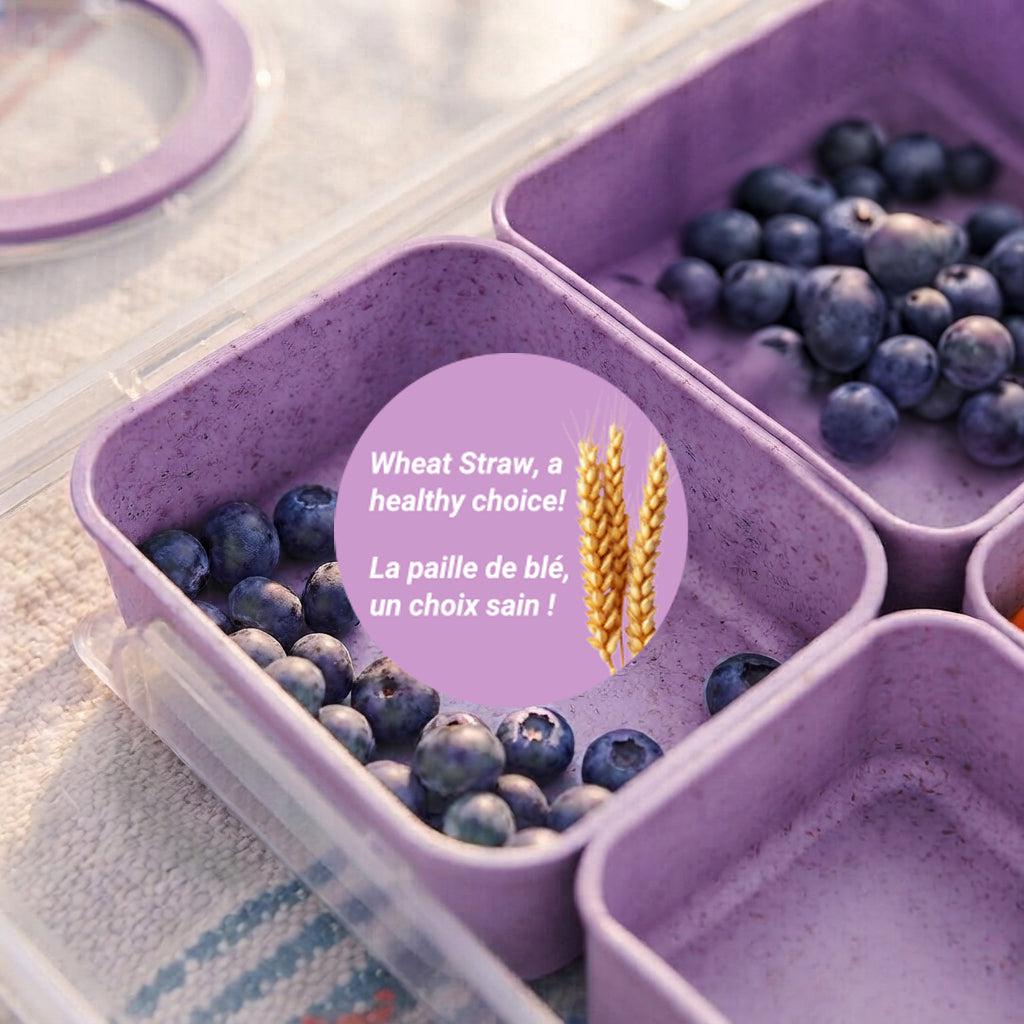 JS Gourmet Boîte à goûter à 8 compartiments avec poignée — violet paille de blé - Simple Boutique