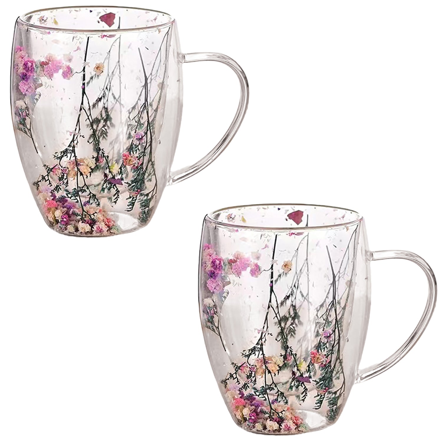 JS Gourmet - Ensemble de 2 Tasses en Verre à Double Paroi avec Fleur Séchées, Capacité de 350ml - Simple Boutique