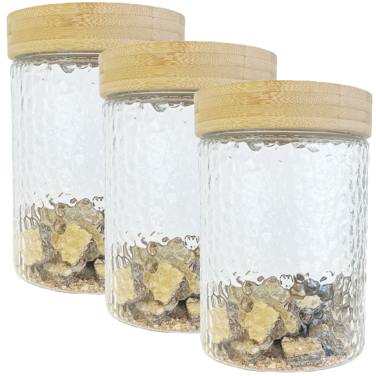 JS Gourmet - Ensemble de 3 Contenants en Verre Embossé avec Couvercle Hermétique, Capacité de 1300ml - Simple Boutique