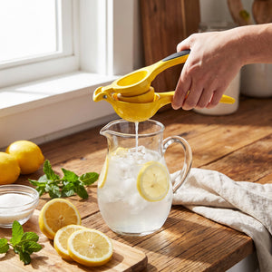 JS Gourmet Presse-agrumes en fonte d'aluminium robuste avec poignée ergonomique - Simple Boutique