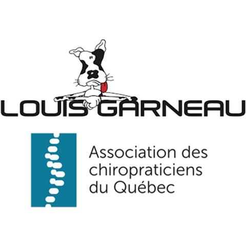Louis Garneau - Sac à Dos Pour Enfants Préscolaire et Primaire, Dos Rembourré, 5 Pochettes, Collection Hockey