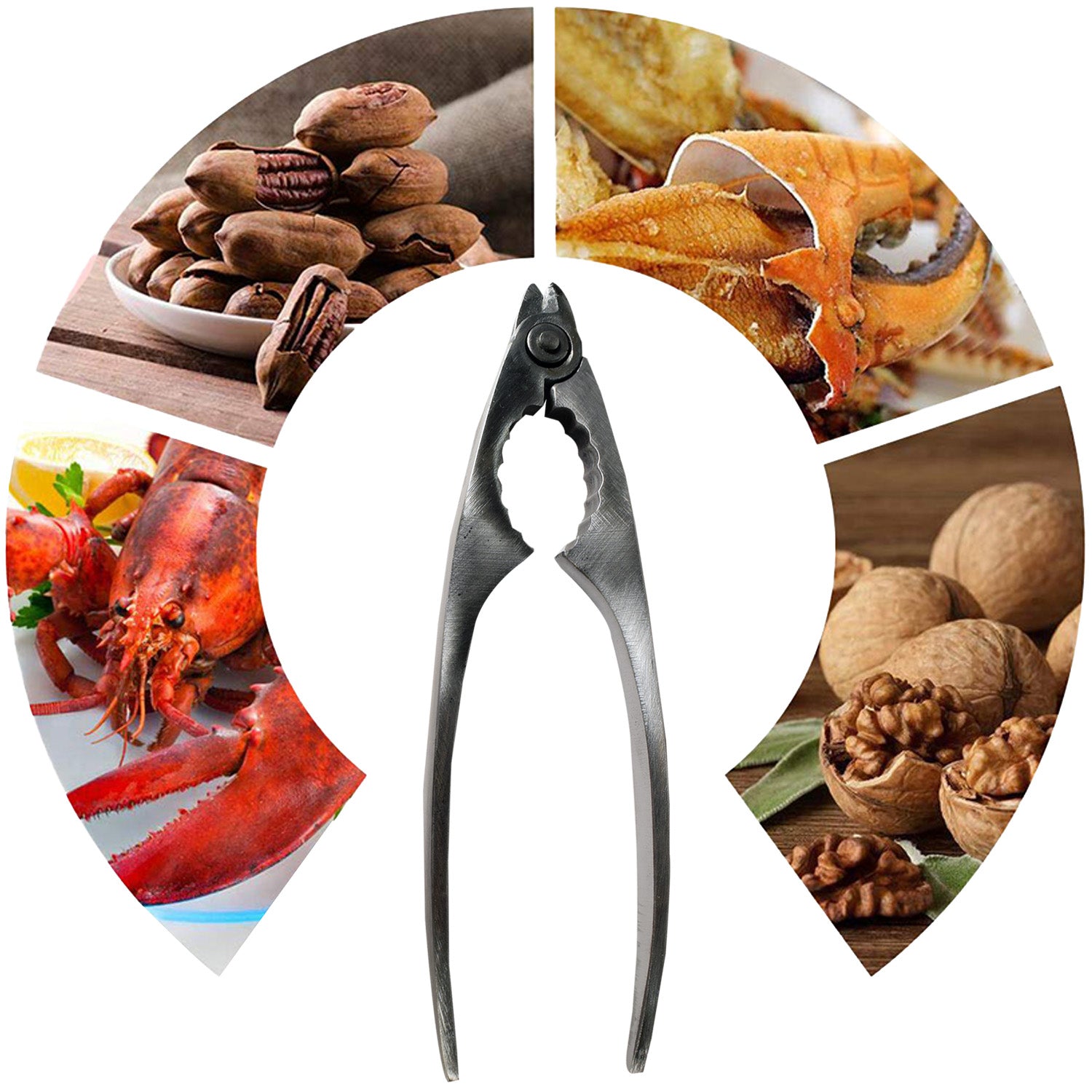 Mirage Pince à Fruits de Mer et Casse-Noix Robuste en Acier Inoxydable - Simple Boutique