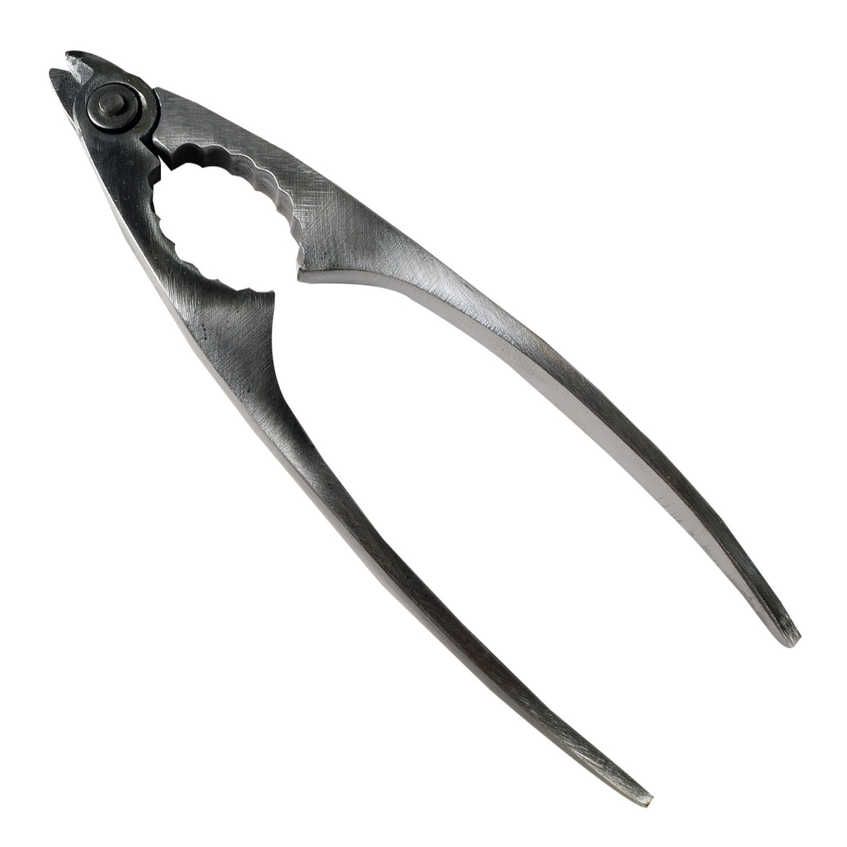 Mirage Pince à Fruits de Mer et Casse-Noix Robuste en Acier Inoxydable - Simple Boutique