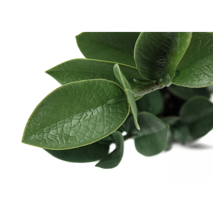 Monarch Specialties I 9500 - Plante Artificielle, 20" De Haut, Zz, Intérieur, Faux, Faux, Tableau, Verdure, Mis En Pot, Vraie Touche, Décoratif, Feuilles Vertes, Pot De Ciment Gris - Simple Boutique