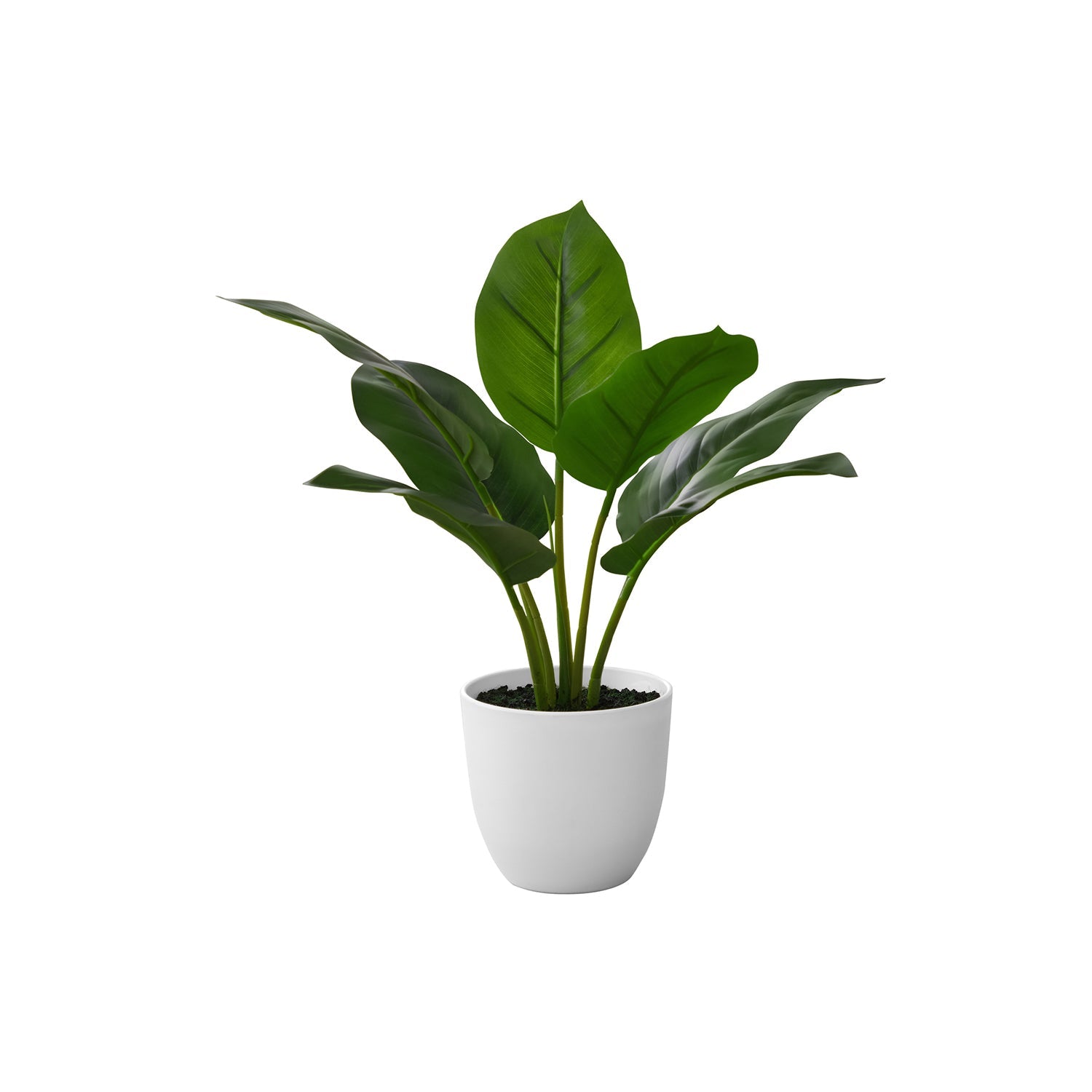 Monarch Specialties I 9502 - Plante Artificielle, 17" De Haut, Aureum, Intérieur, Faux, Faux, Tableau, Verdure, Mis En Pot, Vraie Touche, Décoratif, Feuilles Vertes, Pot Blanc - Simple Boutique